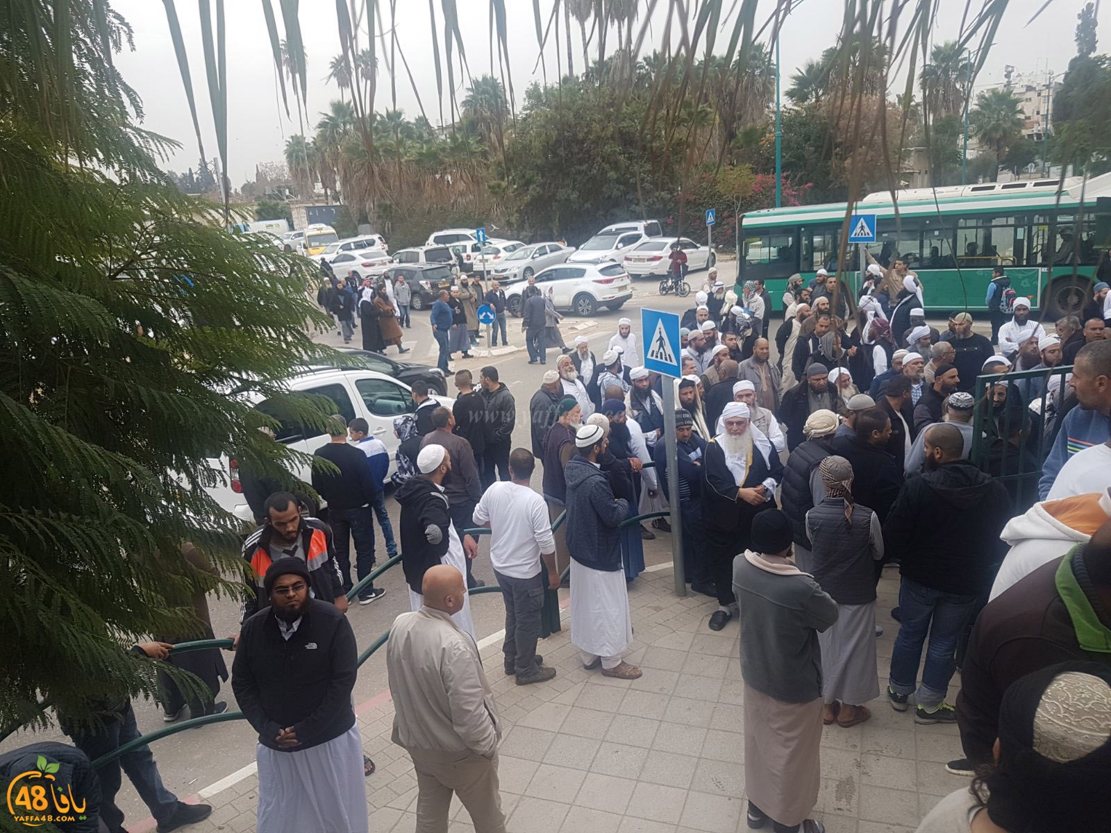 tasheeye3 om mhmoud (15).jpg